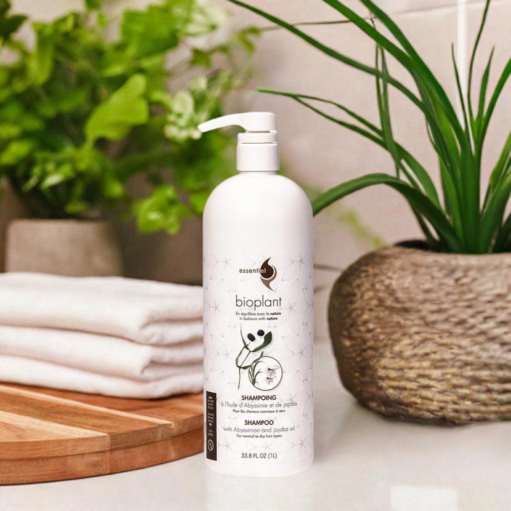 Shampoing à l'huile d'Abyssinie et de jojoba - Clinique à Deux Cheveux