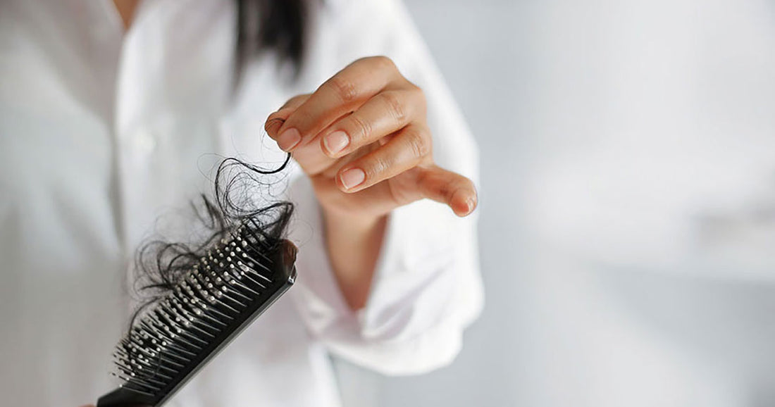 Femme dont la perte des cheveux est restée sur la brosse